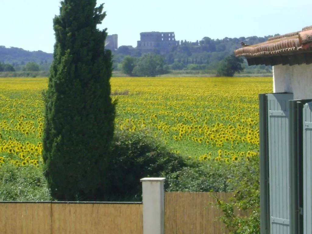 Logis Hotel Des Granges Arles
