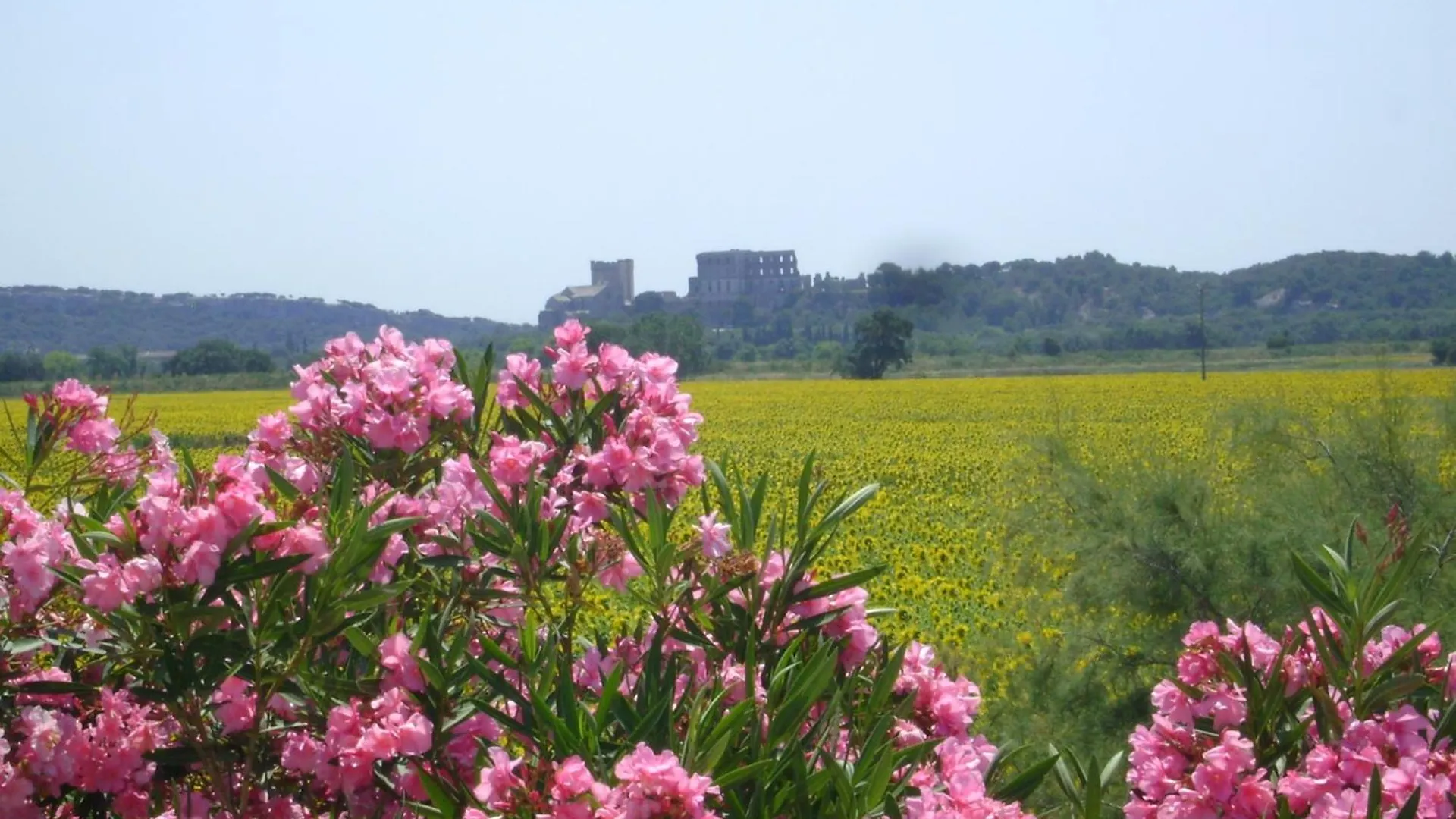 Logis Hotel Des Granges Arles